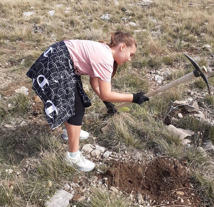 SUPER JE OSJEĆAJ KAD POSADIŠ STABLO!