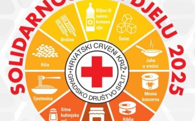 SOLIDARNOST NA DJELU