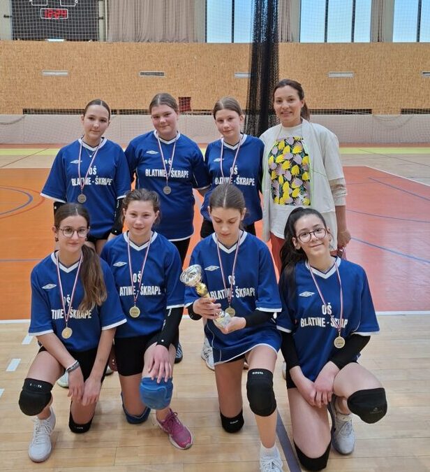 GODINA PUNA SPORTSKIH USPJEHA